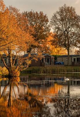 Golden hour at Pearl Lake