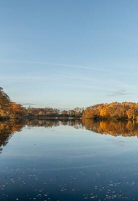 Spectacular autumn morning at Pearl Lake