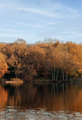 Winter morning at Pearl Lake Country Holiday Park, Herefordshire.