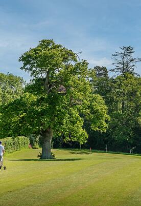 Summer Golf at Pearl Lake Country Holiday Park, Herefordshire