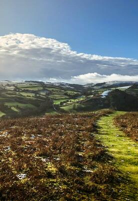 Walking on Hergest Ridge, Kington