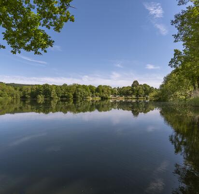 5 star holiday park with fishing lake photo