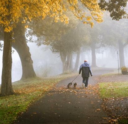 Misty morning dog walk at Pearl Lake photo