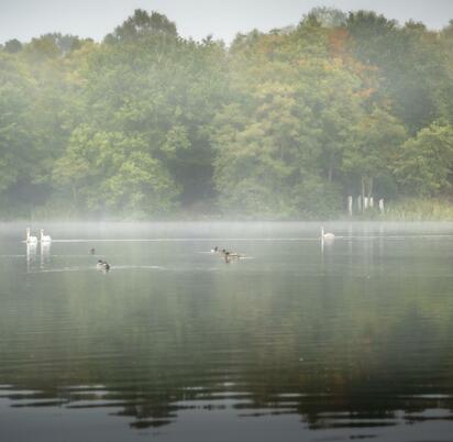 Mist on the lake - October morning at Pearl Lake photo