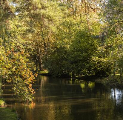 Autumn colours on the River Arrow, Herefordshire