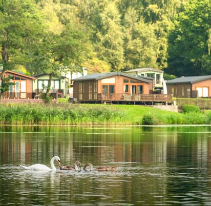 Caravan park with lake edge lodges and fishing lake