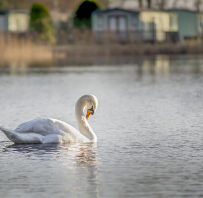 Pearl Lake country holiday park