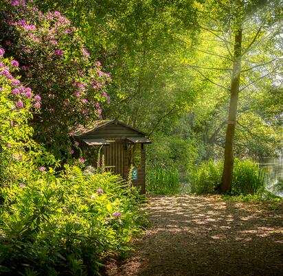 Nature hide in woodland at Pearl Lake Country Holiday Park