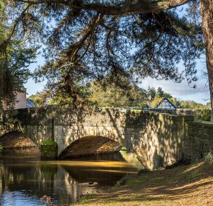 Autumn colours on the River Arrow, Herefordshire