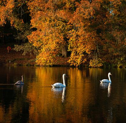 5 star caravan holiday park with fishing lake - Pearl Lake Herefordshire.