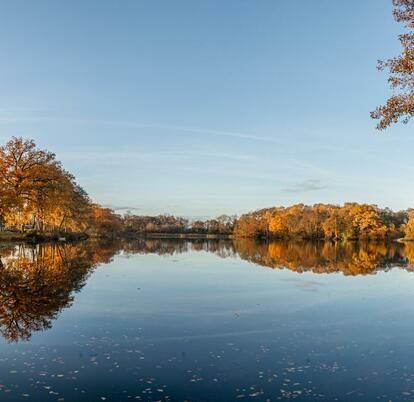 Spectacular autumn morning at Pearl Lake