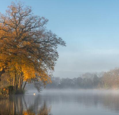 Spectacular winter colours reflected at Pearl Lake