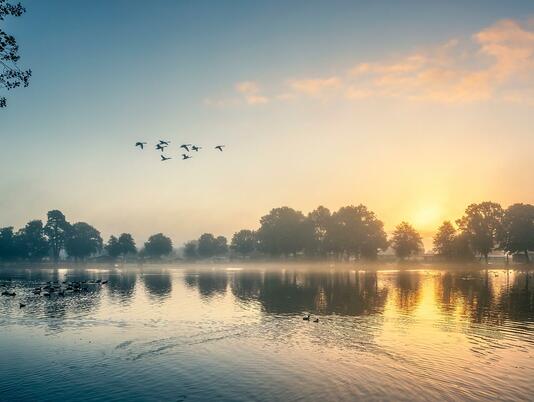 Misty Autumn sunrise over Pearl Lake