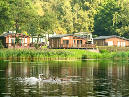 Caravan park with lake edge lodges and fishing lake