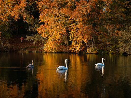 5 star caravan holiday park with fishing lake - Pearl Lake Herefordshire.