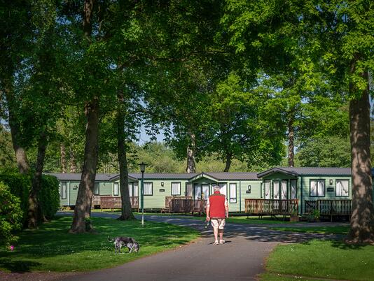 Dog friendly caravan park at Pearl Lake, Herefordshire