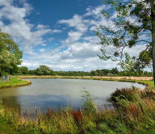 Caravan park with fishing lake. Lake photograph